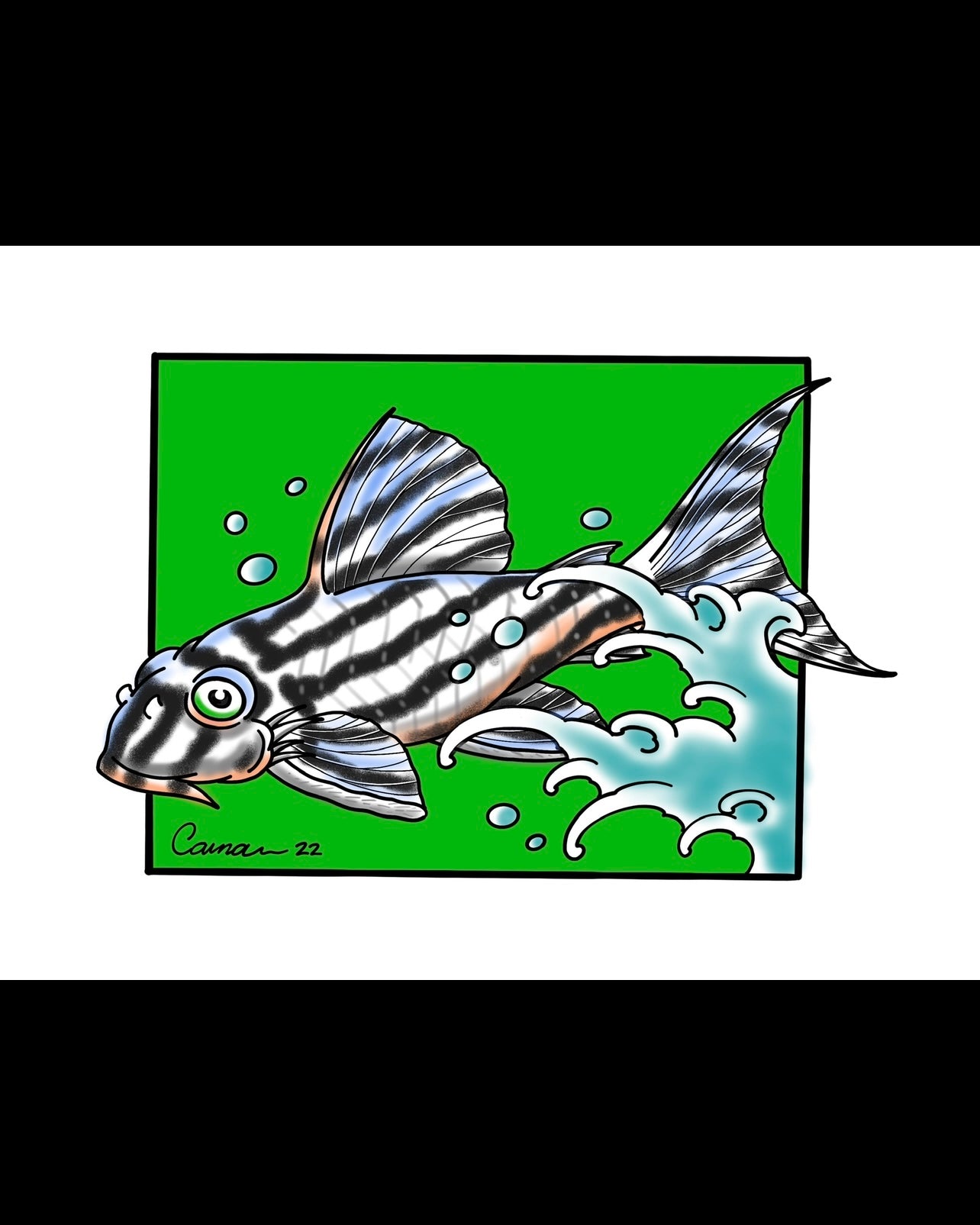 “L46 Zebra Pleco” 8”x10” Print