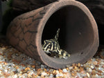 Load image into Gallery viewer, Pleco Cave  Small

